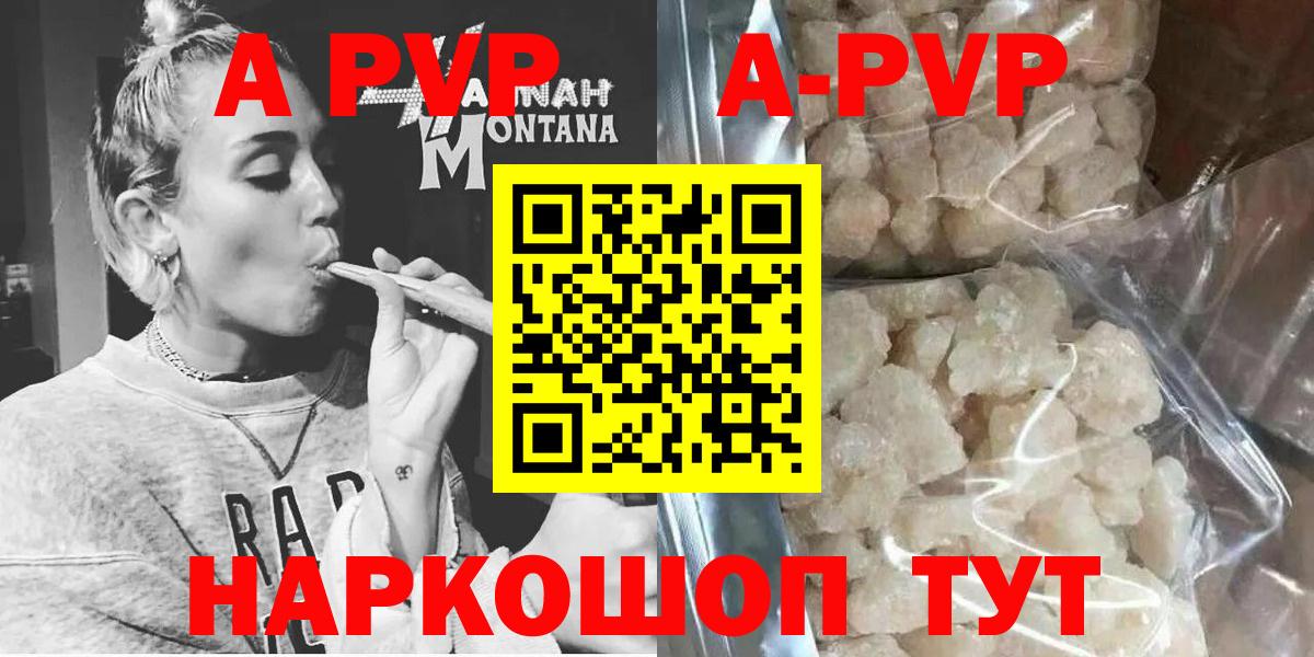 A-PVP СК Гатчина
