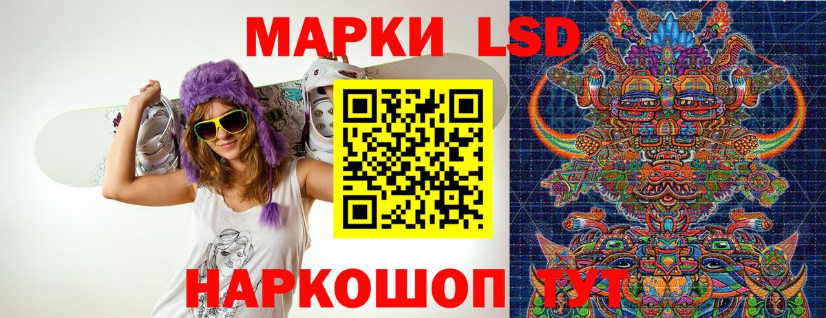 Наркотические марки 1500мкг  Вход с VPN  Наркотические марки 1500мкг  Гатчина 