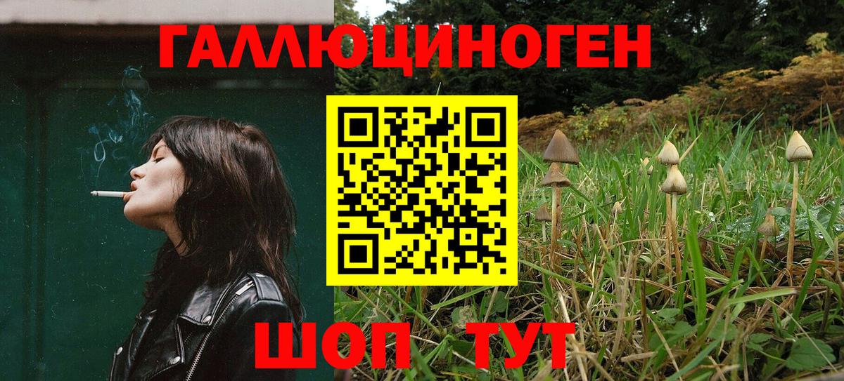 Псилоцибиновые грибы Psilocybine cubensis  Вход с VPN  Гатчина 