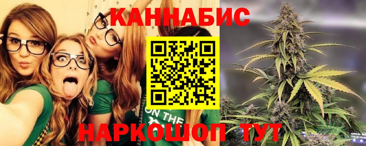 Марихуана конопля Гатчина